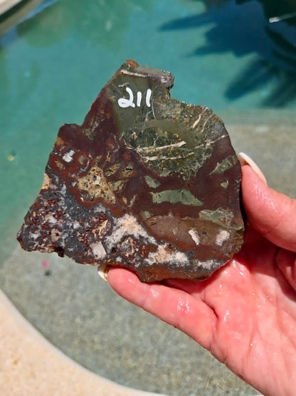 Australian Rainforest Rhyolite Jasper Slab 209-212