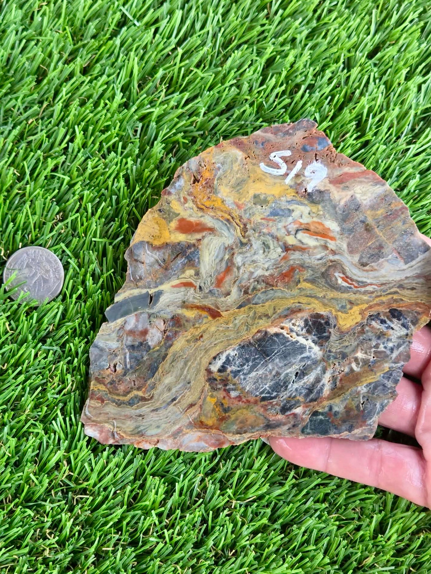 Rainbow Petrified Wood Slabs K518-519