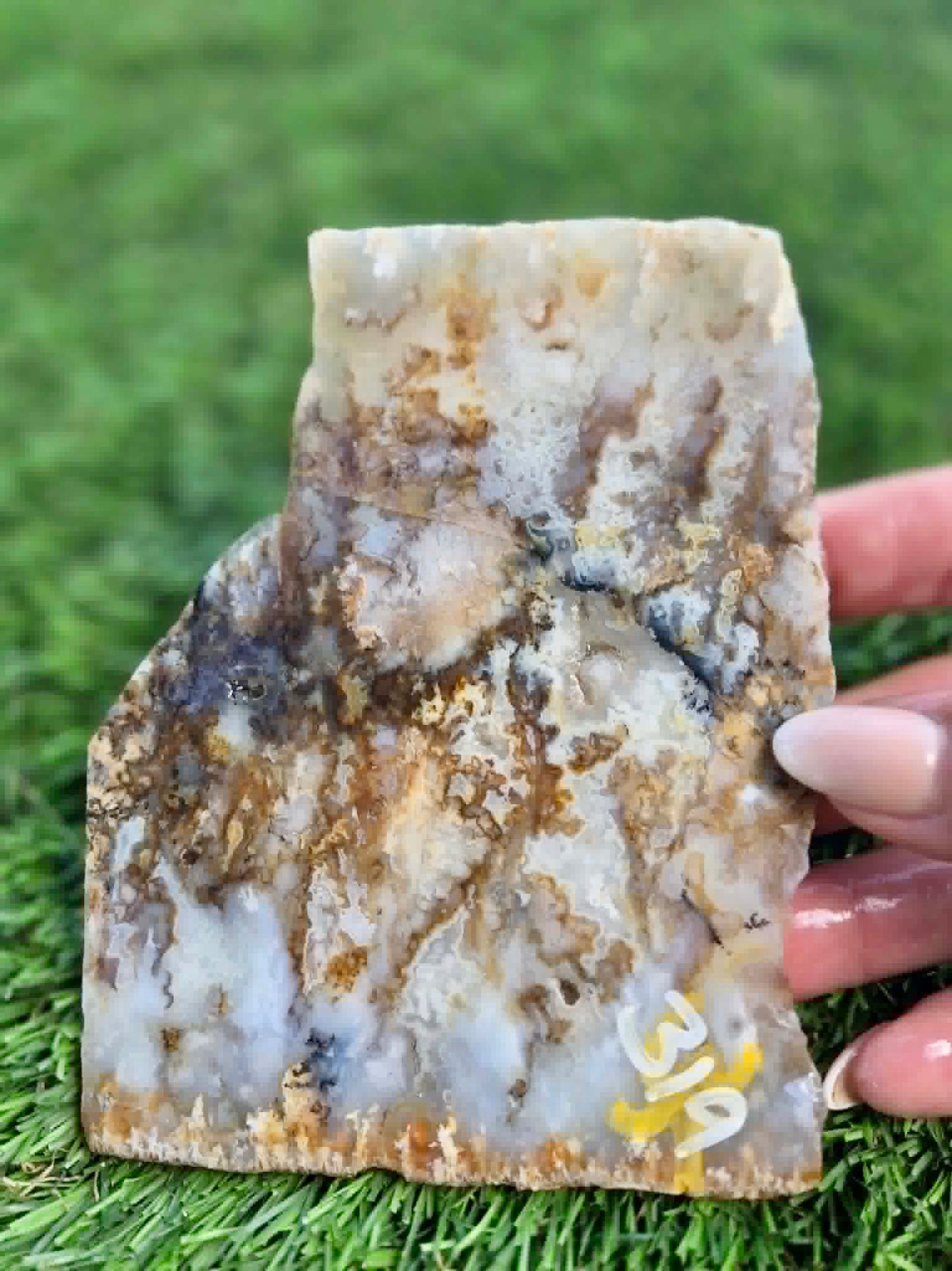 Graveyard Point Plume Agate Slabs G317-322