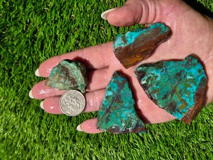 Globe Chrysocolla Slab Bundle-SB93
