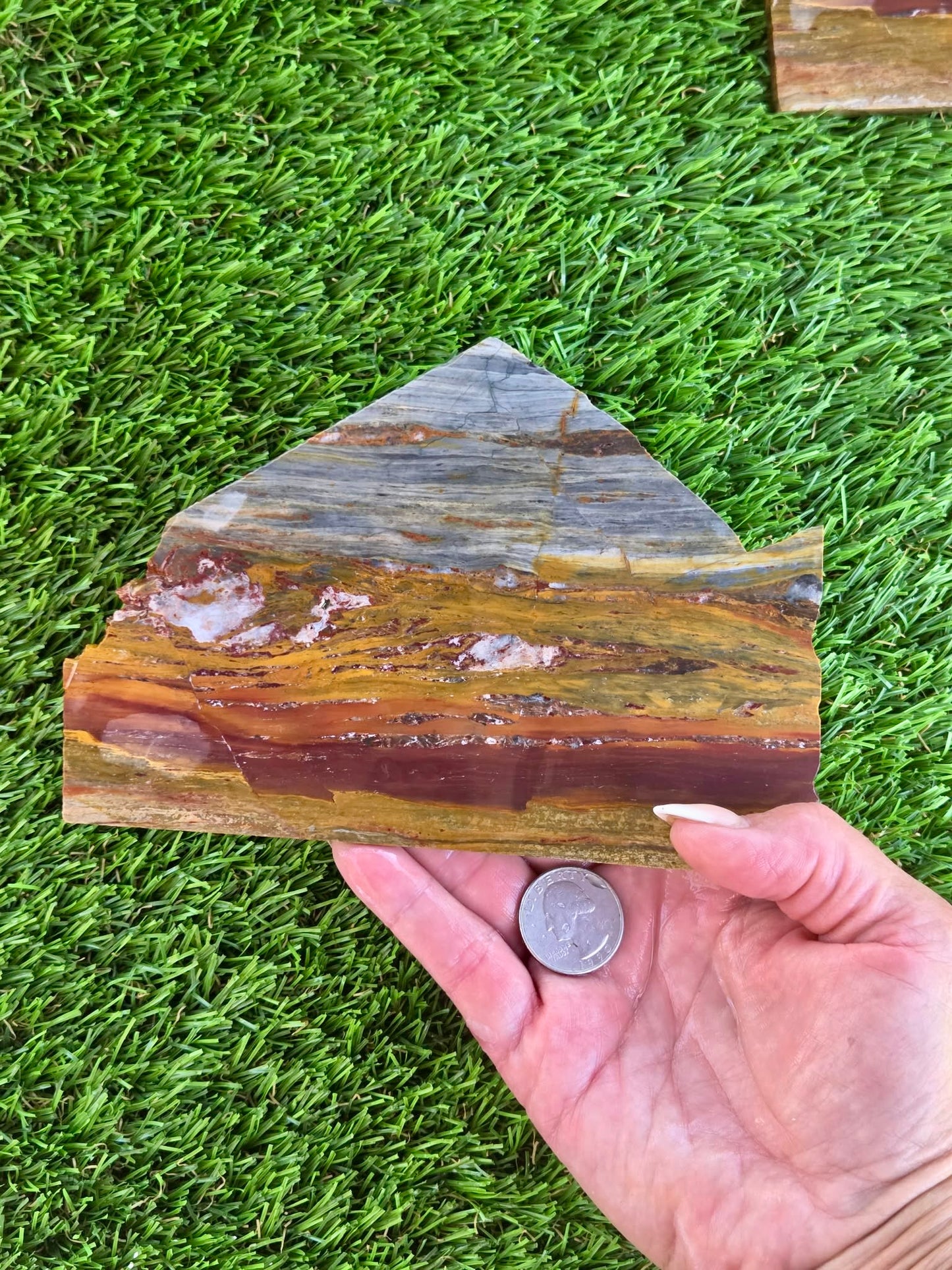 California Picture Jasper Slabs Q805–807