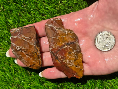 Brecciated Jasper Slab Bundle SB74