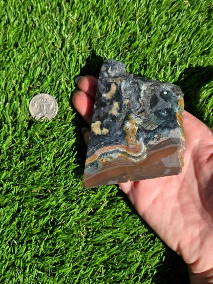 Indonesian Banded Hematite Slabs O693-698