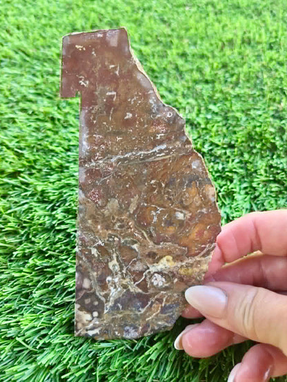 Globe Arizona Brecciated Jasper G349-353