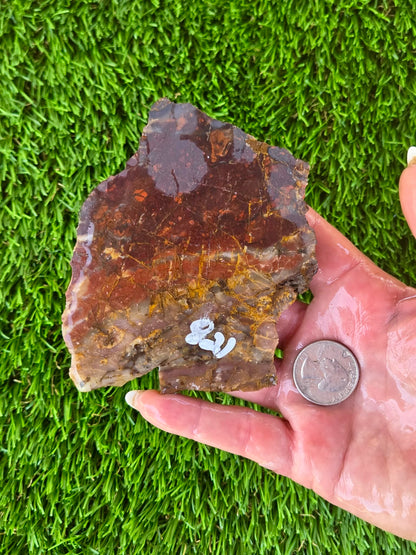 Brecciated Red Jasper Slabs Q820–823