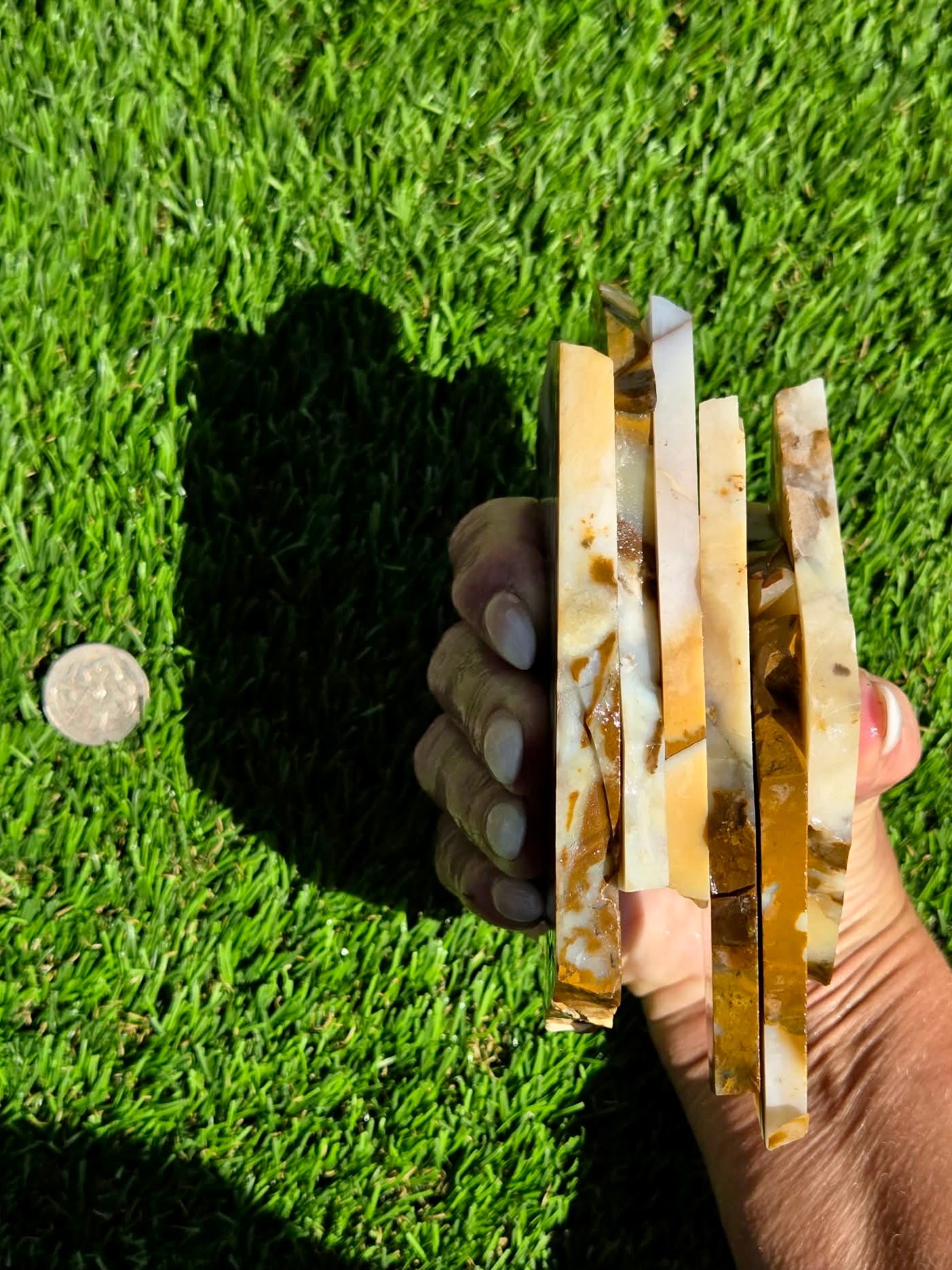 Oregon Polka Dot Jasper Slabs M612-617