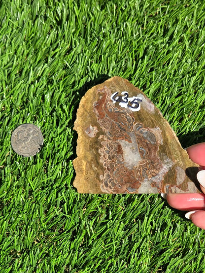 Green Mushroom Rhyolite M630-638
