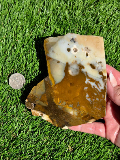 Oregon Polka Dot Jasper Slabs M612-617