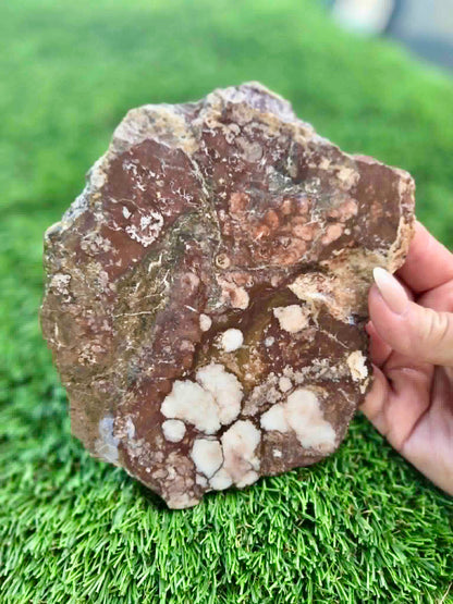 Wild Horse Jasper Slabs G338-341