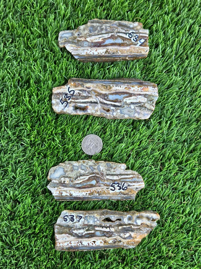 Camp Verde Agate Slabs  K534-537