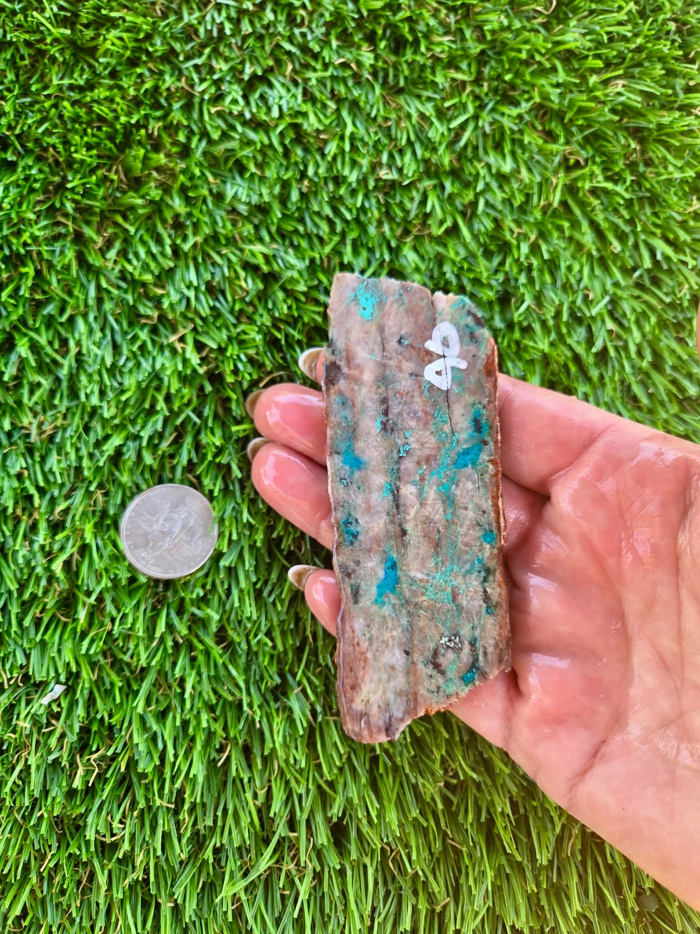 Shattuckite Slabs B95-100