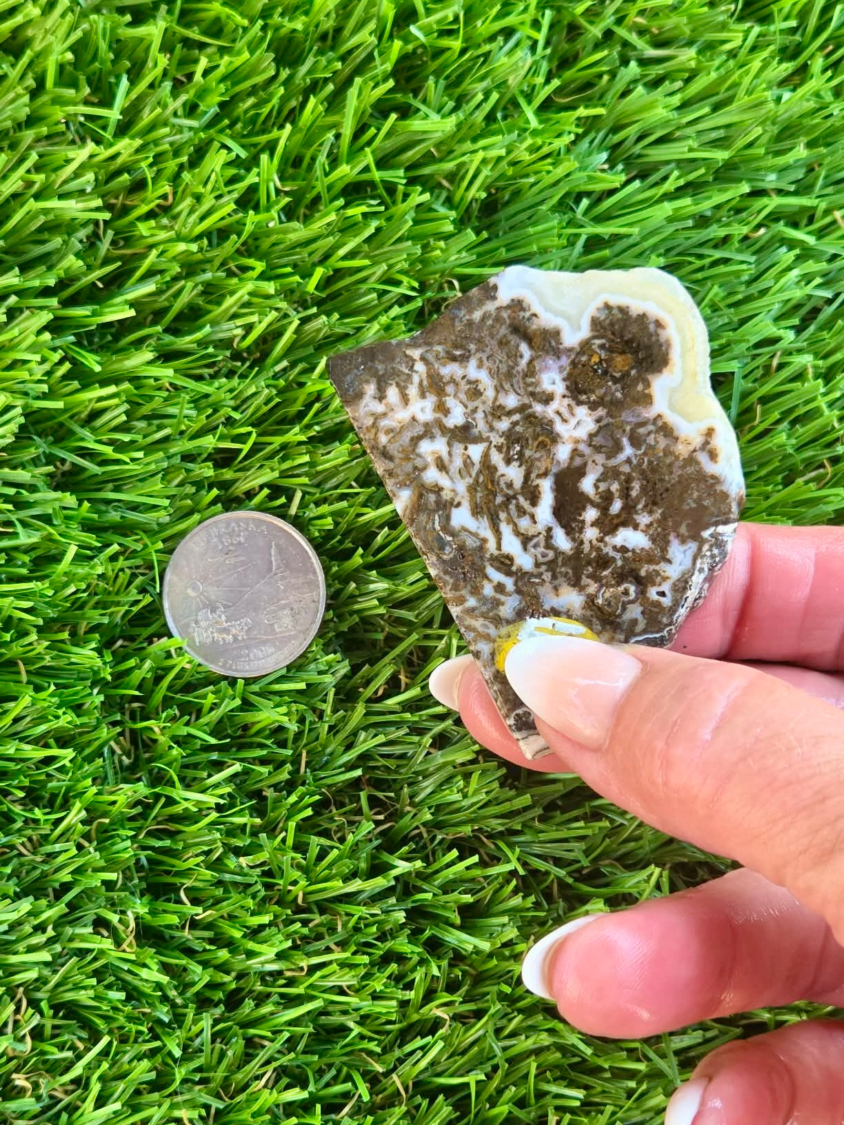 Camp Verde Agate H401-404