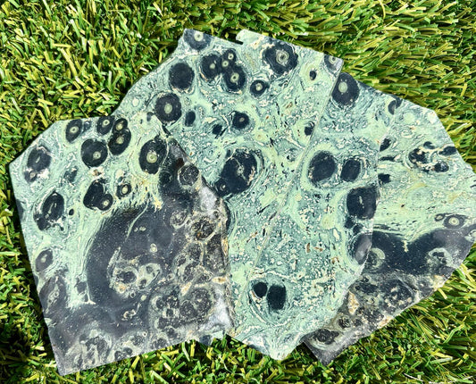 Kambaba Jasper