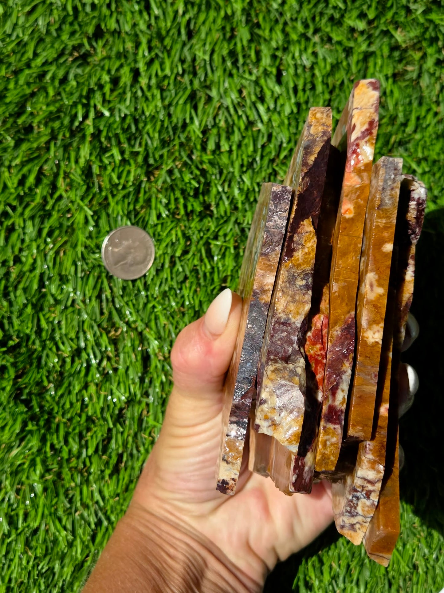 Burro Creek Jasper Slabs R841–847