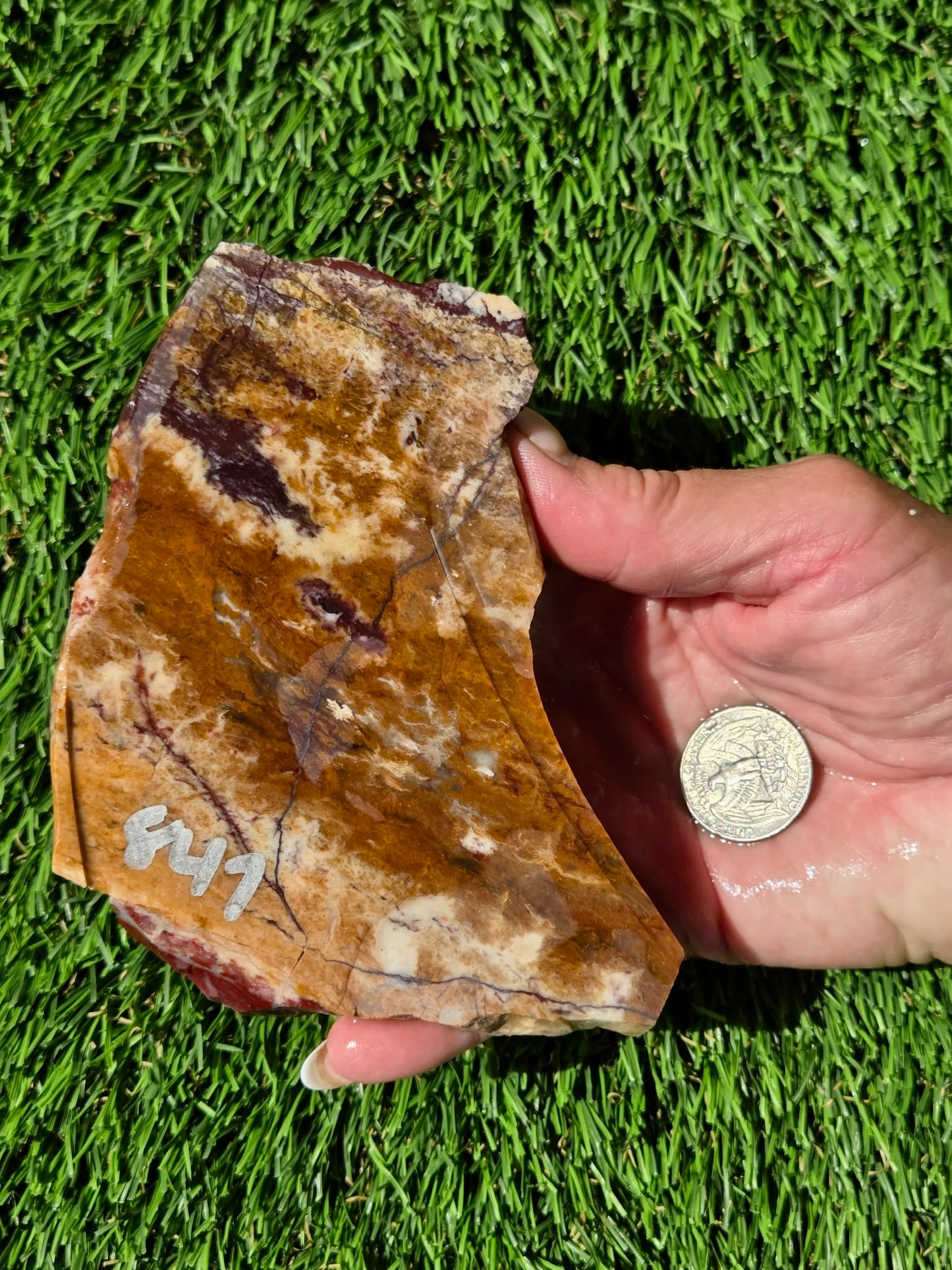 Burro Creek Jasper Slabs R841–847