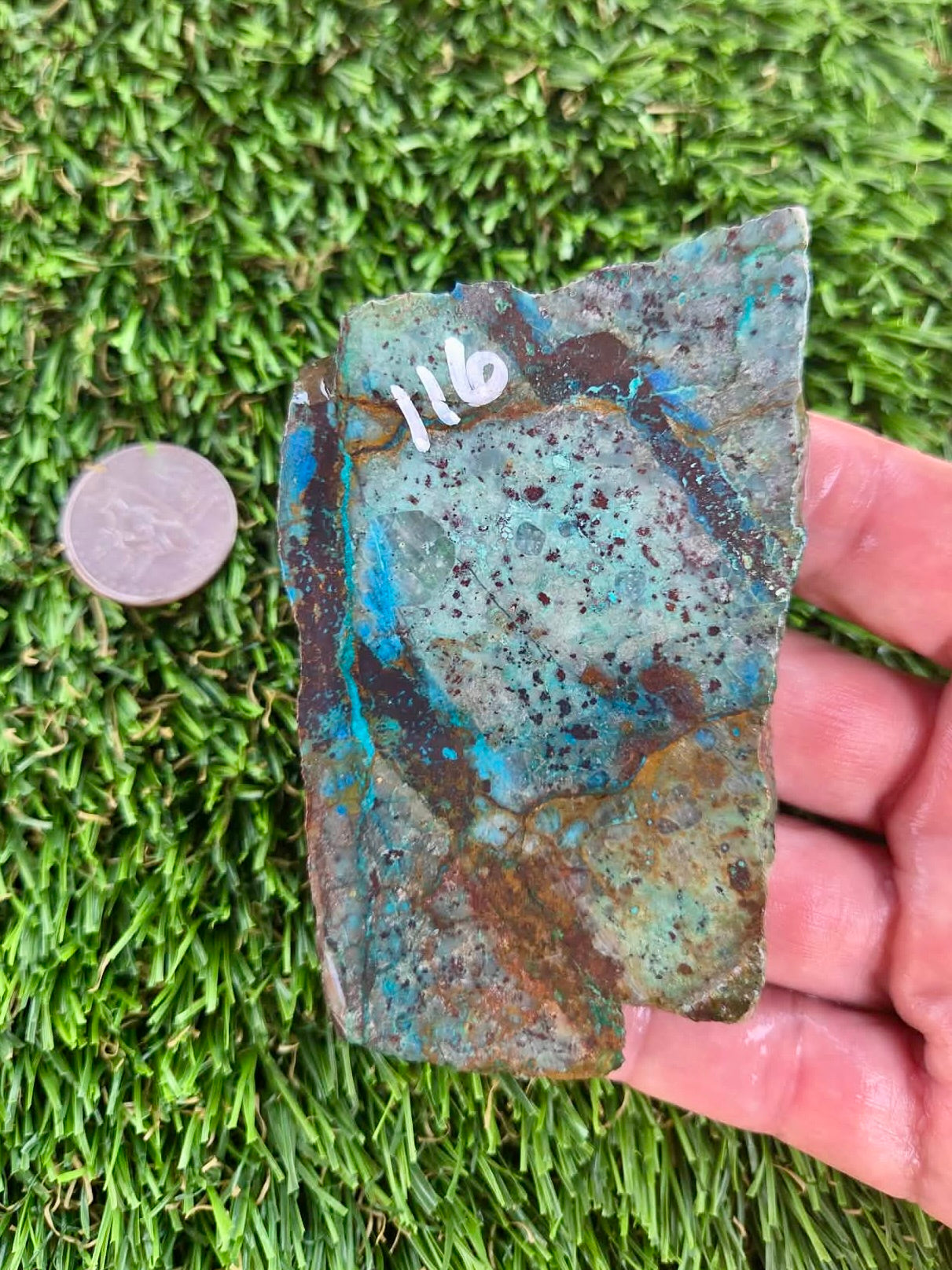 Shattuckite with Azurite & Malachite Slabs B113-119