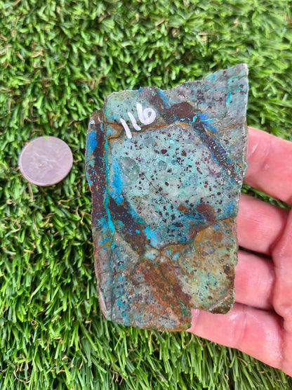 Shattuckite with Azurite & Malachite Slabs B113-119
