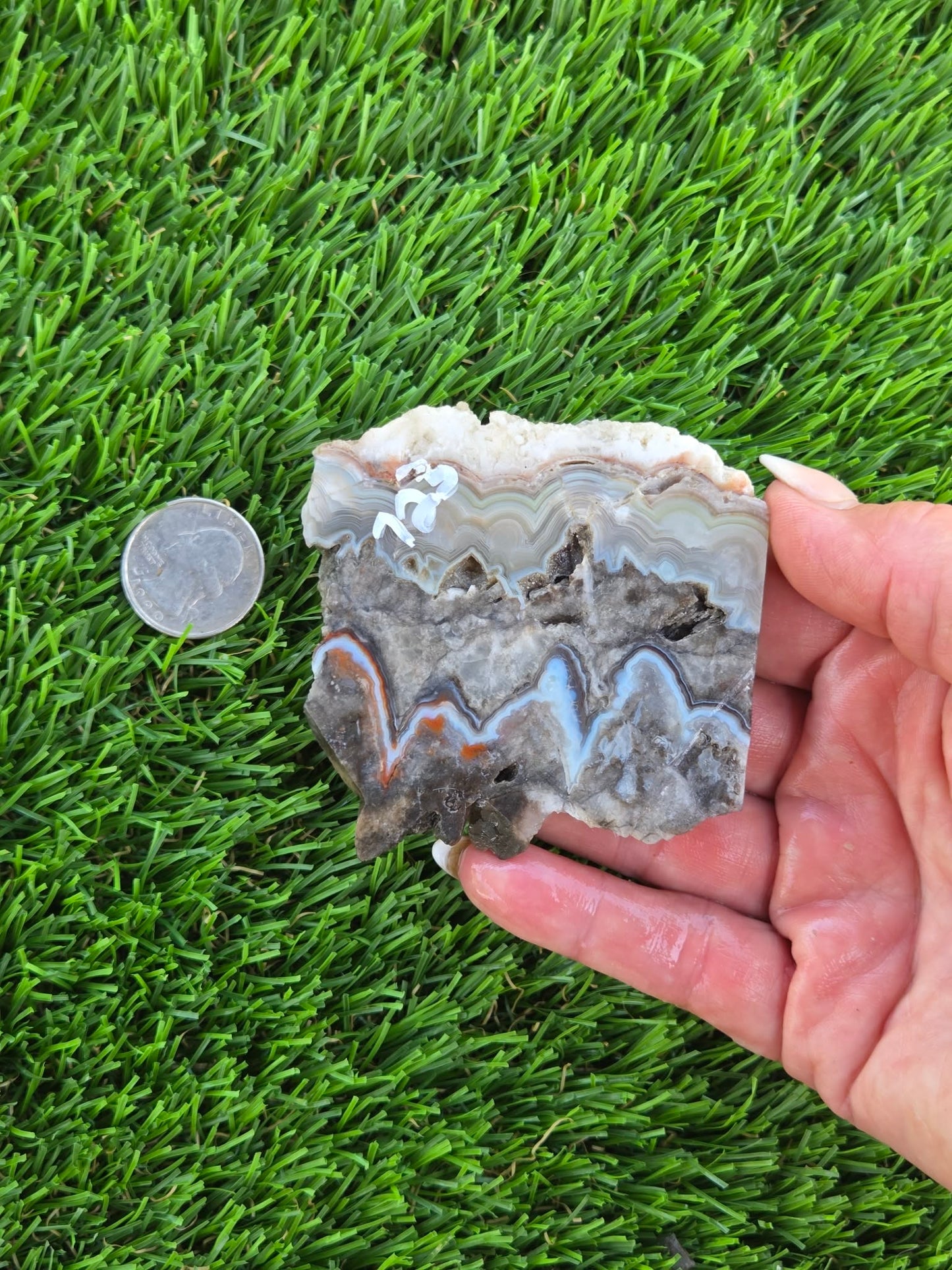 Gray Banded Crazy Lace Agate Slabs O717–723