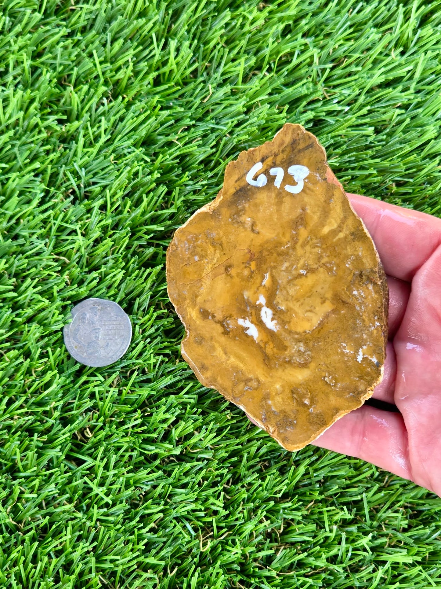 Mustard Picture Jasper Slabs N673-677