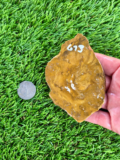 Mustard Picture Jasper Slabs N673-677
