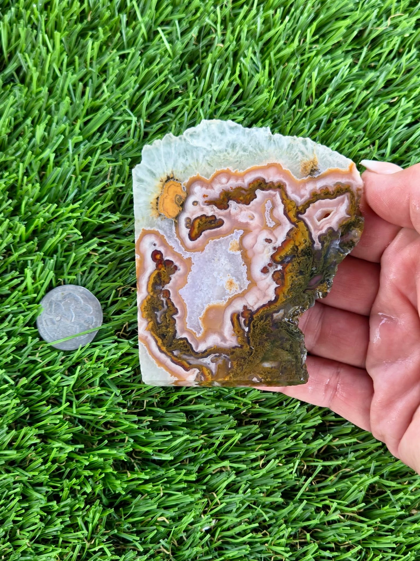 Purple Crazy Lace Agate with Quartz Crystal Slabs N665-666
