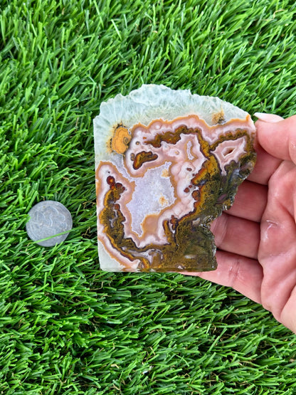Purple Crazy Lace Agate with Quartz Crystal Slabs N665-666