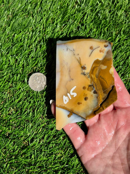 Oregon Polka Dot Jasper Slabs M612-617