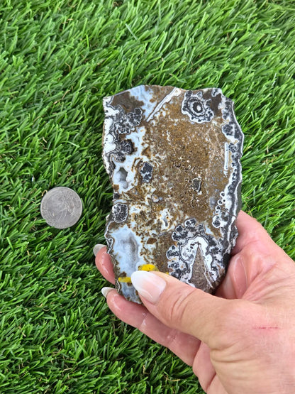 Camp Verde Agate Slabs  K512-515