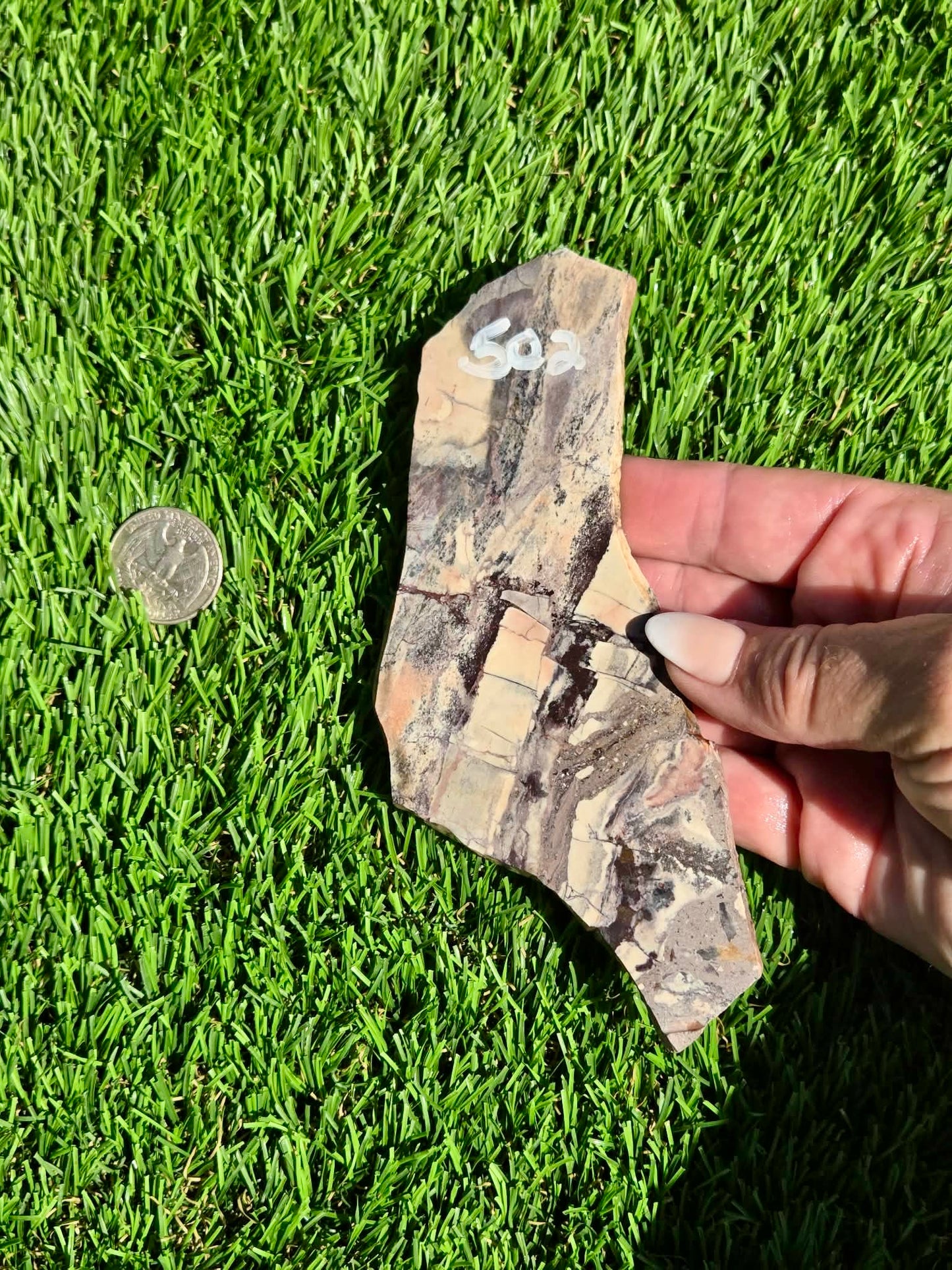 Picasso Jasper Slabs J497-502