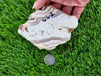 Mexican Moon Lace Agate Slabs N661-662