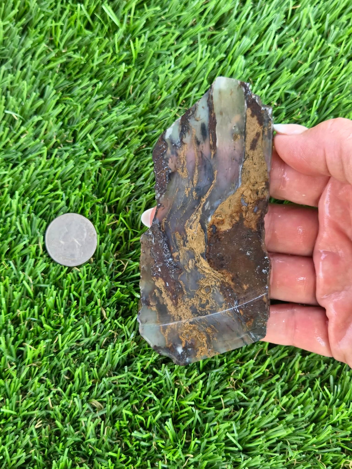 Utah Petrified Wood Slabs J474-479