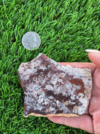 Brecciated Red Jasper with Quartz Slabs O727–730