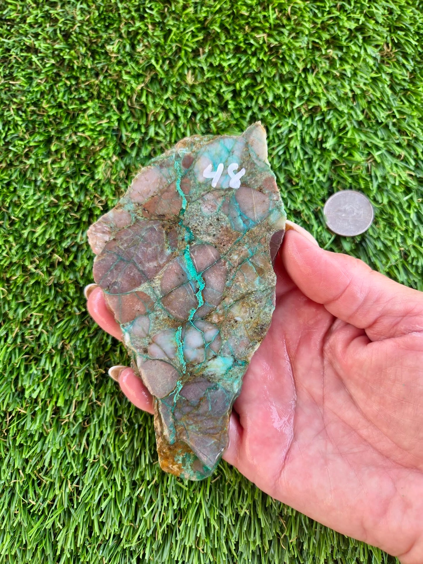 Desert Mosaic Puddingstone with Malachite Slabs A46-49
