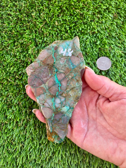Desert Mosaic Puddingstone with Malachite Slabs A46-49