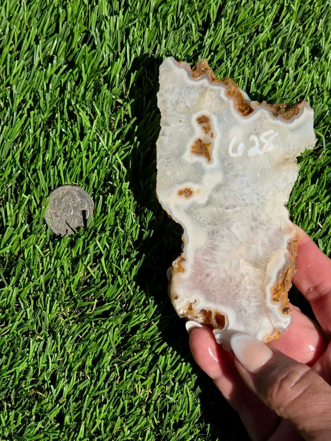 Natural Fortification Agate with Quartz Crystal Druzy Slabs M624-629