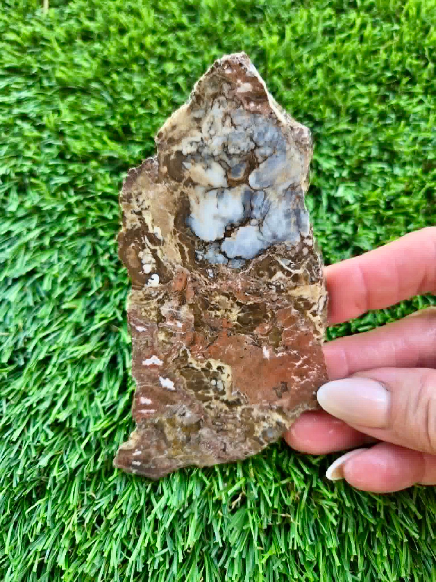 Globe Arizona Brecciated Jasper G349-353
