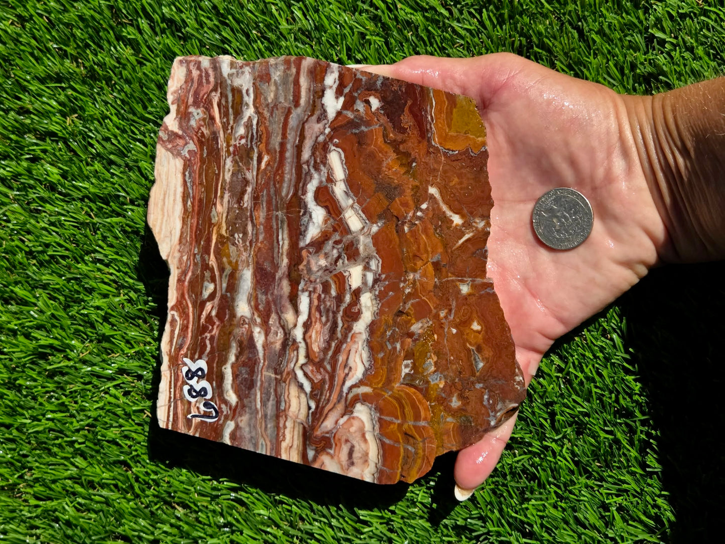 Banded Brecciated Jasper with Agate Slabs O686–689