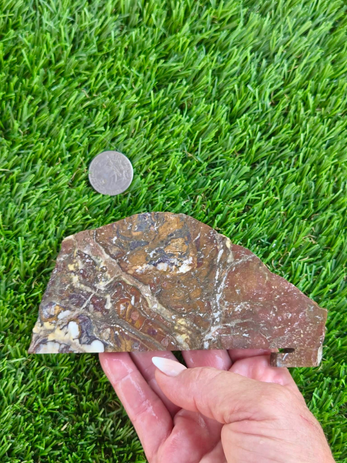 Wild Horse Jasper Slabs G354-359