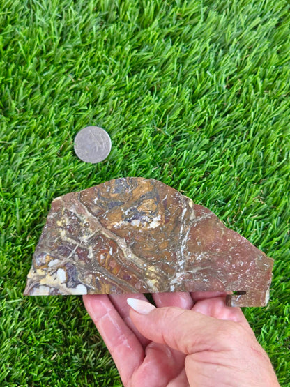 Wild Horse Jasper Slabs G354-359