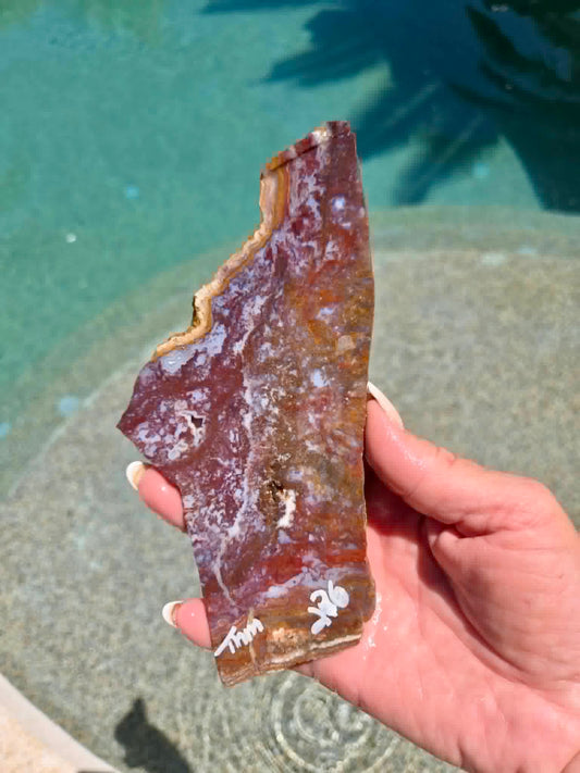 Camp Verde Agate Slab 236-239