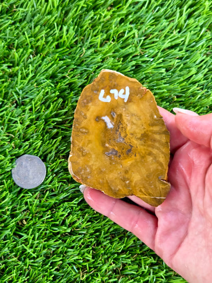 Mustard Picture Jasper Slabs N673-677