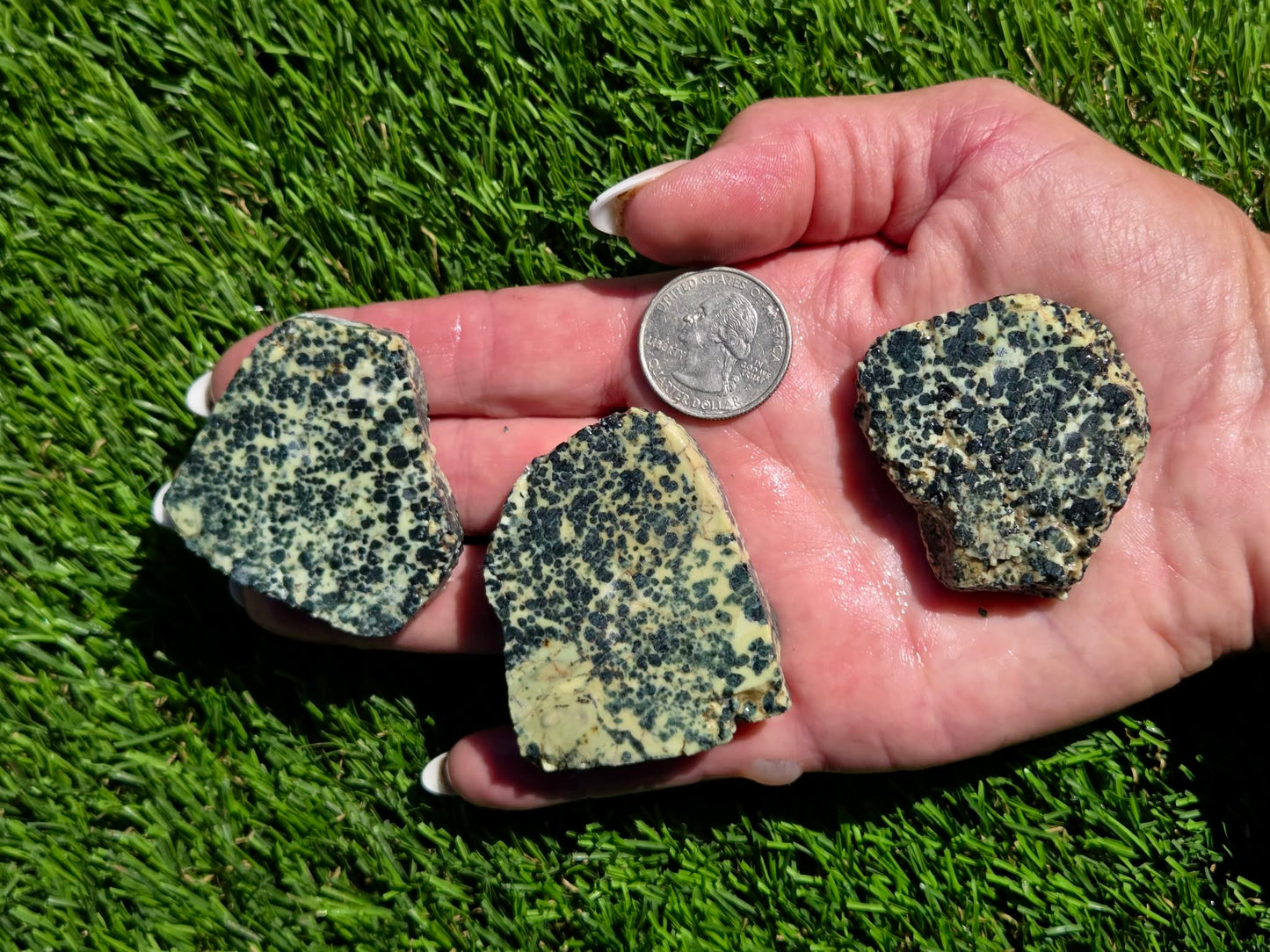 Spotted Jasper – Dalmatian-Type Slab Bundle SB131