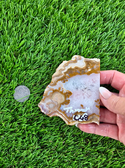 Natural Banded Fortification Agate Slabs N667-668