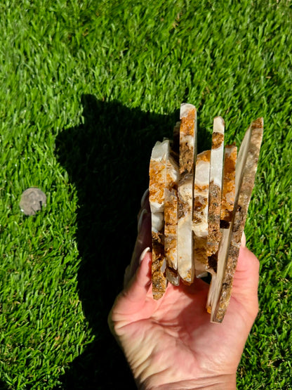 Mascotero Jasper Slabs M618-623