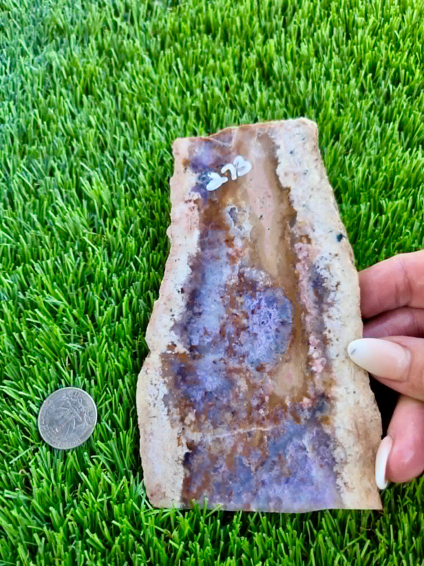 Purple Burro Creek Agate Slab 270-274