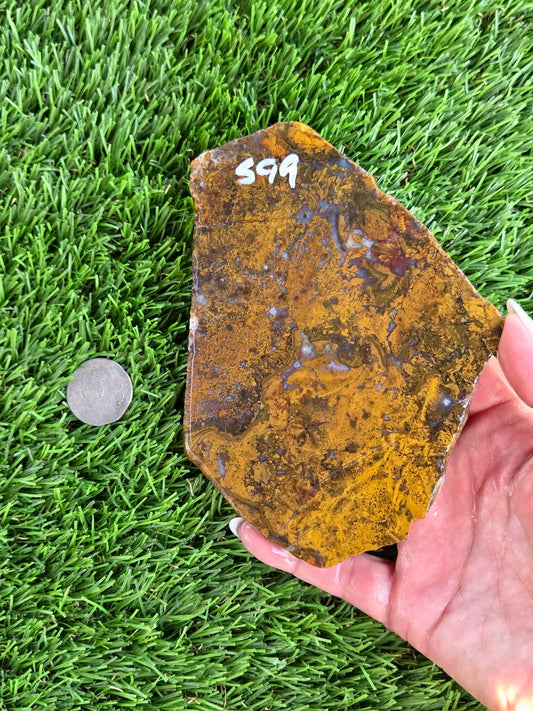Camp Verde Moss Agate Slabs M599-601