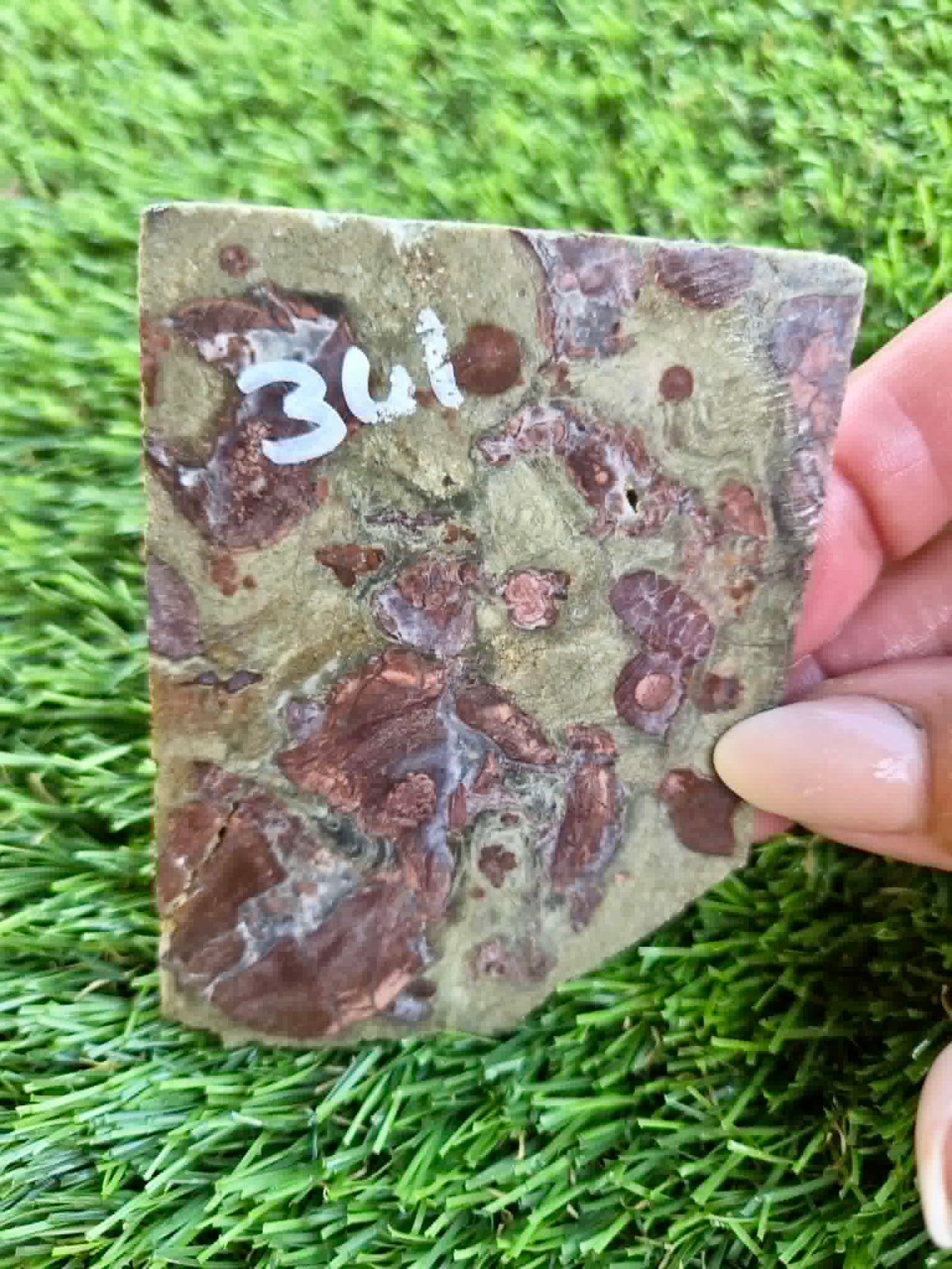 Green Mushroom Rhyolite Slabs G360-362