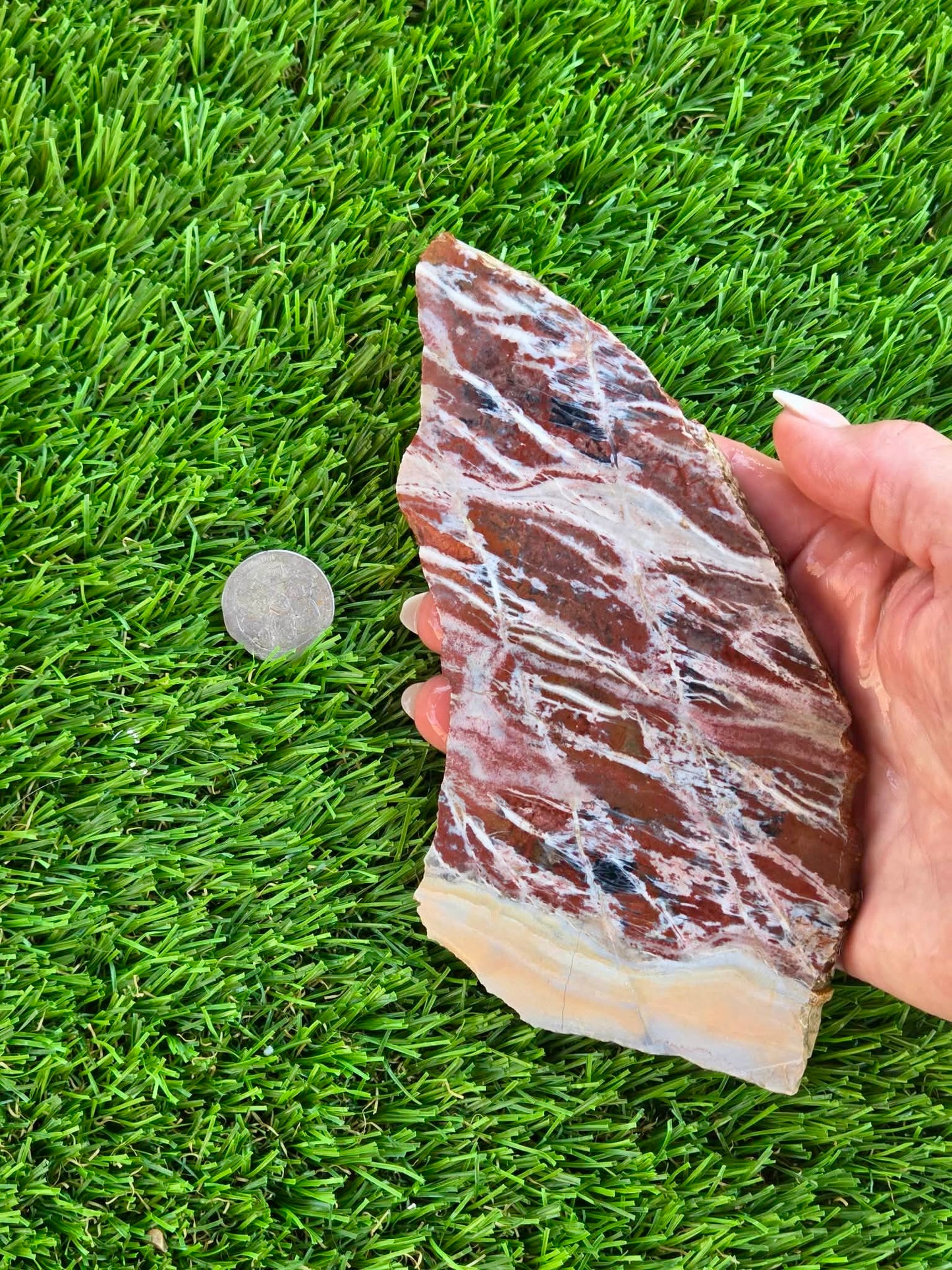 Red Creek Brecciated Jasper Slabs L548-552