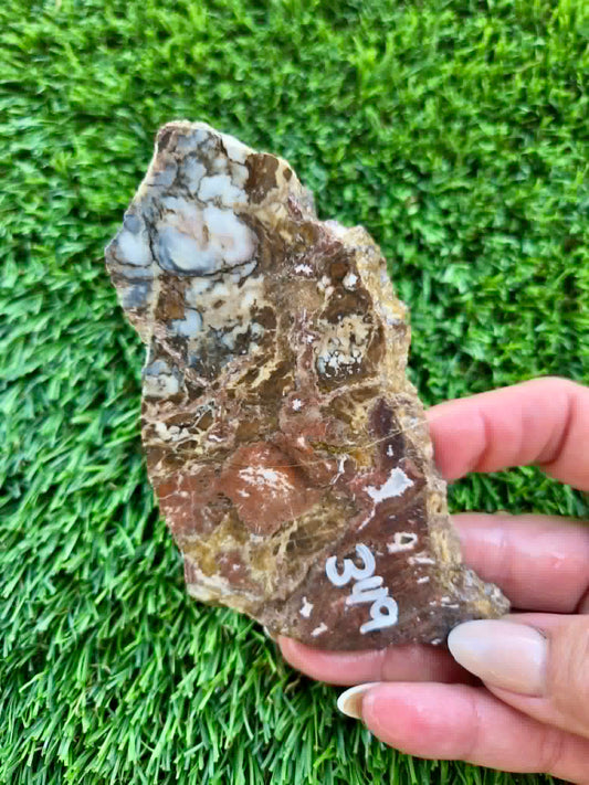 Globe Arizona Brecciated Jasper G349-353