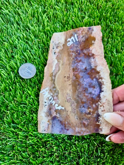 Purple Burro Creek Agate Slab 270-274
